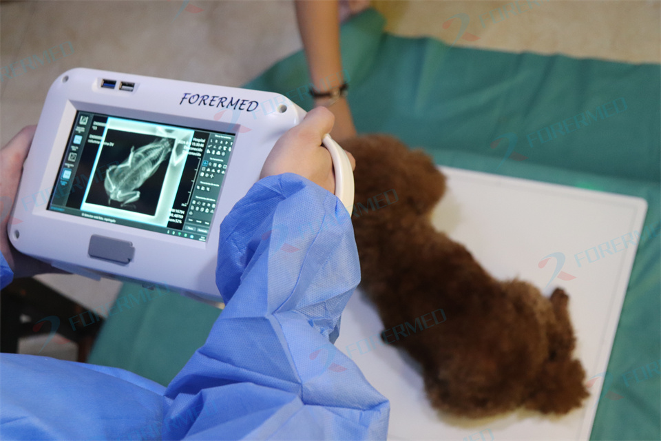 Mini Veterinary X Ray Machine  - Vet Tech Accessories review and price