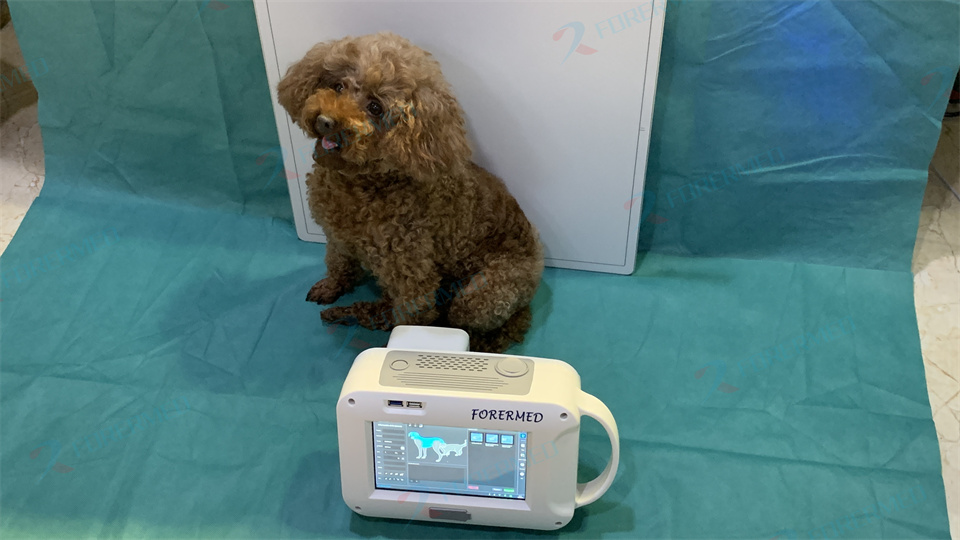 Mini Veterinary X Ray Machine  - Vet Tech Accessories review and price